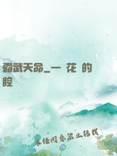 霸武天命
