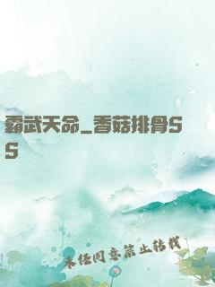 霸武天命
