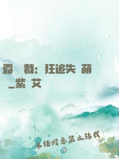 霸氣總裁：狂追失憶萌寶