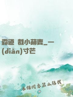 霸道總裁小萌妻