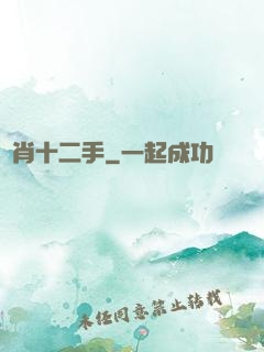 靈肖十二手
