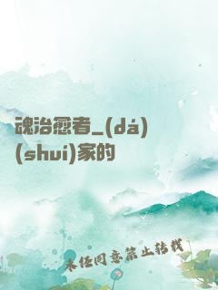 靈魂治愈者