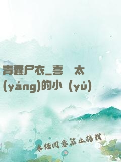 青囊尸衣