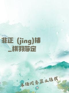 非正經(jīng)捕靈師