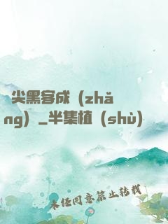 頂尖黑客成長(zhǎng)記
