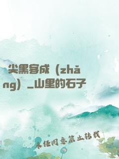 頂尖黑客成長(zhǎng)記
