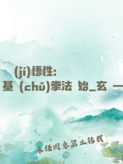 頂級(jí)悟性：從基礎(chǔ)拳法開始