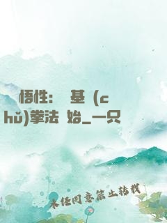 頂級悟性：從基礎(chǔ)拳法開始