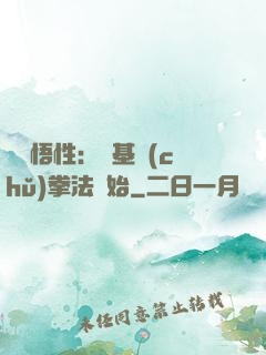 頂級悟性：從基礎(chǔ)拳法開始