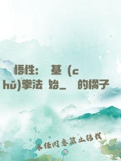 頂級悟性：從基礎(chǔ)拳法開始
