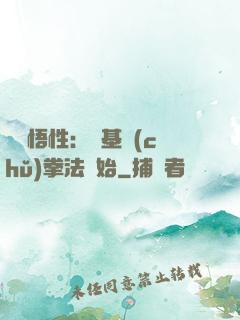 頂級悟性：從基礎(chǔ)拳法開始