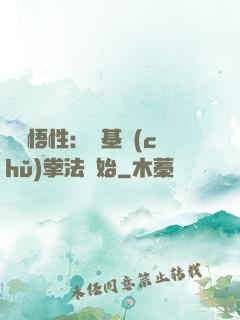 頂級悟性：從基礎(chǔ)拳法開始