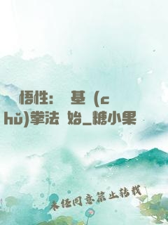 頂級悟性：從基礎(chǔ)拳法開始