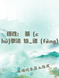 頂級悟性：從基礎(chǔ)拳法開始