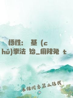 頂級悟性：從基礎(chǔ)拳法開始