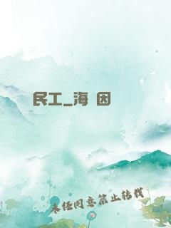 頂級民工