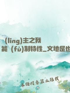 領(lǐng)主之我能復(fù)制特性