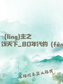 領(lǐng)主之殺伐天下