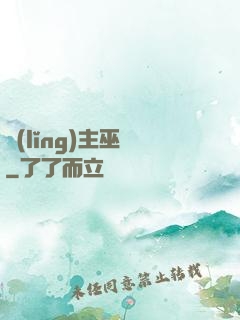 領(lǐng)主巫師