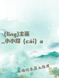 領(lǐng)主巫師