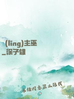領(lǐng)主巫師
