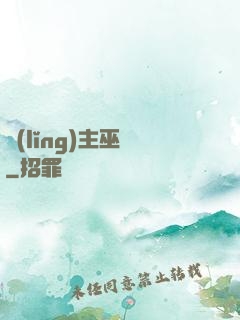 領(lǐng)主巫師
