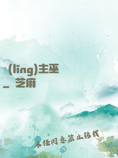 領(lǐng)主巫師