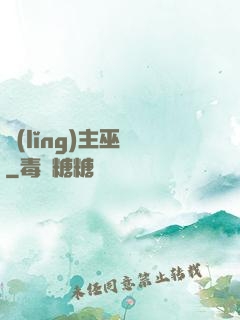 領(lǐng)主巫師