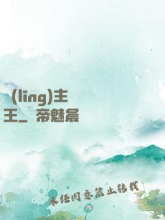 領(lǐng)主變國王