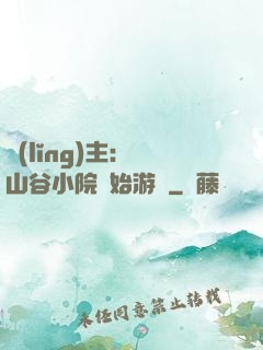 領(lǐng)主：從山谷小院開始游戲