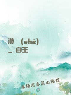 頭號游戲設(shè)計師