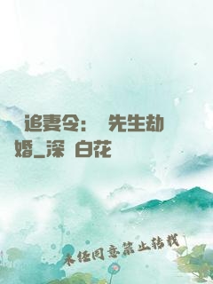 頭號追妻令：陸先生劫個婚