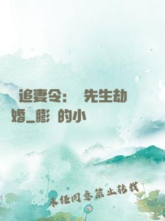 頭號追妻令：陸先生劫個婚
