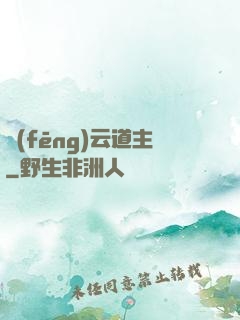 風(fēng)云道主