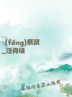 風(fēng)暴武裝