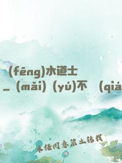 風(fēng)水道士