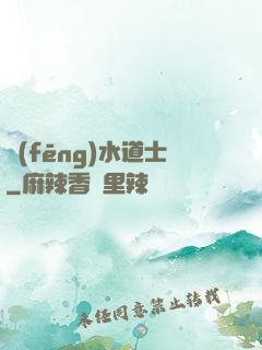 風(fēng)水道士