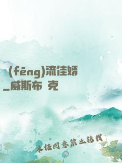 風(fēng)流佳婿