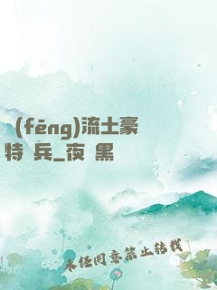 風(fēng)流土豪特種兵