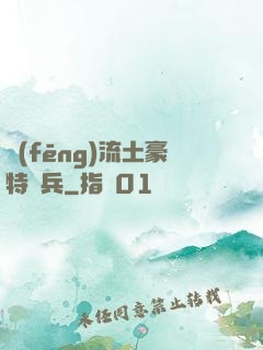 風(fēng)流土豪特種兵