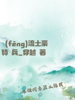 風(fēng)流土豪特種兵
