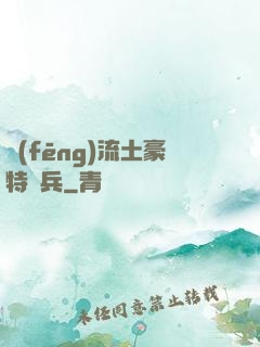 風(fēng)流土豪特種兵