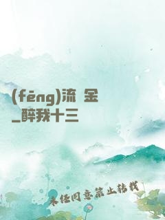風(fēng)流煉金師