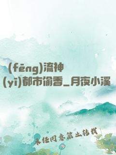 風(fēng)流神醫(yī)都市偷香