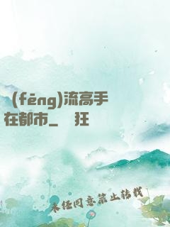 風(fēng)流高手在都市