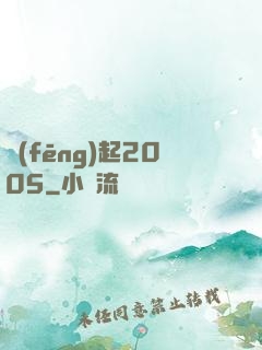風(fēng)起2005
