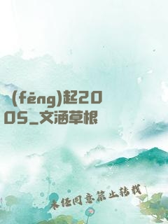 風(fēng)起2005