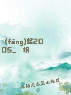 風(fēng)起2005