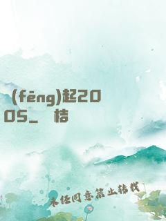 風(fēng)起2005