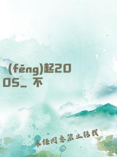 風(fēng)起2005